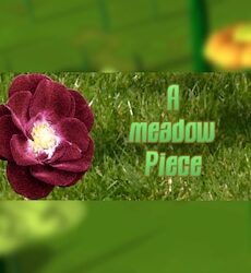 A meadow Piece